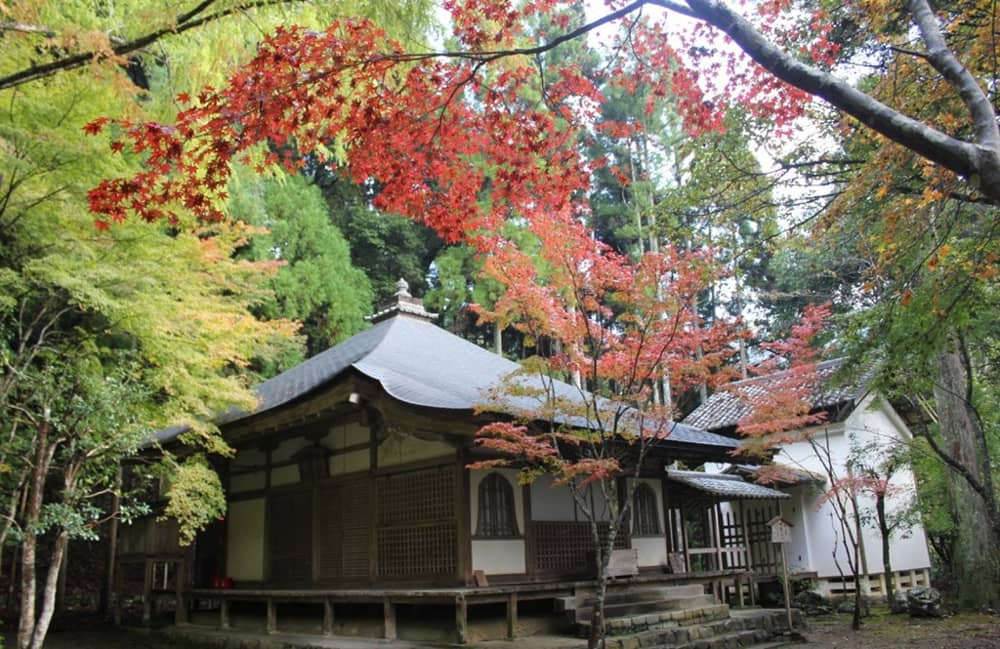 Địa điểm ngắm lá đỏ Kyoto